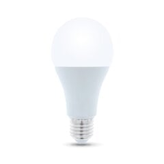 LED lemputė E27 A65 15W 230V 3000K 1450lm Forever Light цена и информация | Лампочки | hansapost.ee