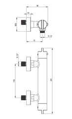 Termostaat dušisegisti Deante, Brushed steel, BCH_F4BT hind ja info | Vannitoa segistid | hansapost.ee