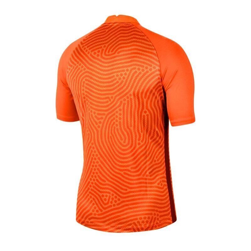 Meeste spordisärk Nike Gardien III GK M BV6714-803 (58354) цена и информация | Spordiriided meestele | hansapost.ee