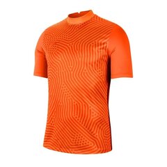 Meeste spordisärk Nike Gardien III GK M BV6714-803 (58354) hind ja info | Spordiriided meestele | hansapost.ee