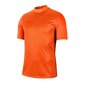 Meeste spordisärk Nike Gardien III GK M BV6714-803 (58354) hind ja info | Spordiriided meestele | hansapost.ee