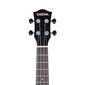 Kontsert-ukulele Cascha Mahogany HH 2300 цена и информация | Kitarrid | hansapost.ee