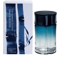 Tualettvesi Adolfo Dominguez Agua de Bambu Men EDT meestele, 60ml hind ja info | Parfüümid meestele | hansapost.ee