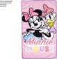 Komplekt lastele Minnie Mouse Child's Toiletries Travel Set price and information | Laste ja ema kosmeetika | hansapost.ee