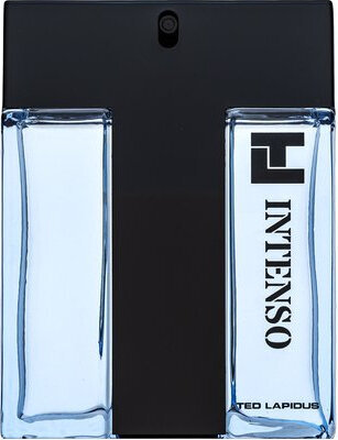 Parfüüm Ted Lapidus Intenso EDT M, 100 ml цена и информация | Parfüümid meestele | hansapost.ee