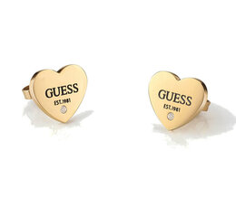 Бижутерия Guess JUBE02177JWYG цена и информация | Серьги | hansapost.ee