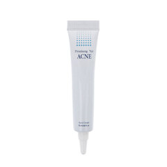 Pyunkang Yul ACNE Spot Cream 15ml цена и информация | Кремы для лица | hansapost.ee