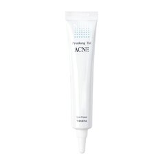 Pyunkang Yul ACNE Spot Cream 15ml цена и информация | Кремы для лица | hansapost.ee