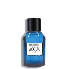 Tualettvesi Jeanne Arthes Acqua EDT meestele, 100 ml hind ja info | Parfüümid meestele | hansapost.ee