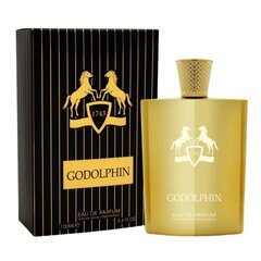 Parfüümvesi Fragrance World Godolphin EDP meestele, 100 ml hind ja info | Parfüümid meestele | hansapost.ee