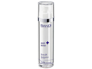 Bandi Anti Acne Multiactive BB Cream 50ml цена и информация | Пудры, базы под макияж | hansapost.ee