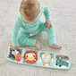 Hariduslik sensoorne raamat Fisher-Price, HML63 hind ja info | Beebide mänguasjad | hansapost.ee