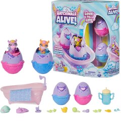 Figuurid Hatchimals Alive! Love to Live Ujuvad glitter + munad ja aksessuaarid цена и информация | Игрушки для девочек | hansapost.ee