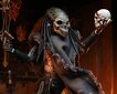 Figuur Neca Predator 2 Ultimate Shaman Predator, 20 cm hind ja info | Mänguasjad poistele | hansapost.ee