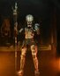 Figuur Neca Predator 2 Ultimate Shaman Predator, 20 cm hind ja info | Mänguasjad poistele | hansapost.ee