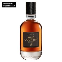 Подарочный набор для мужчин Wild Country, Avon цена и информация | Парфюмированная косметика для мужчин | hansapost.ee