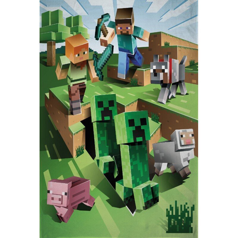 Laste fliistekk Minecraft, 100x150 cm hind ja info | Pleedid, voodikatted ja päevatekid | hansapost.ee