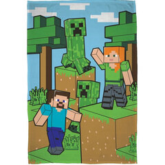 Minecraft pleed 100*150cm hind ja info | Pleedid, voodikatted ja päevatekid | hansapost.ee