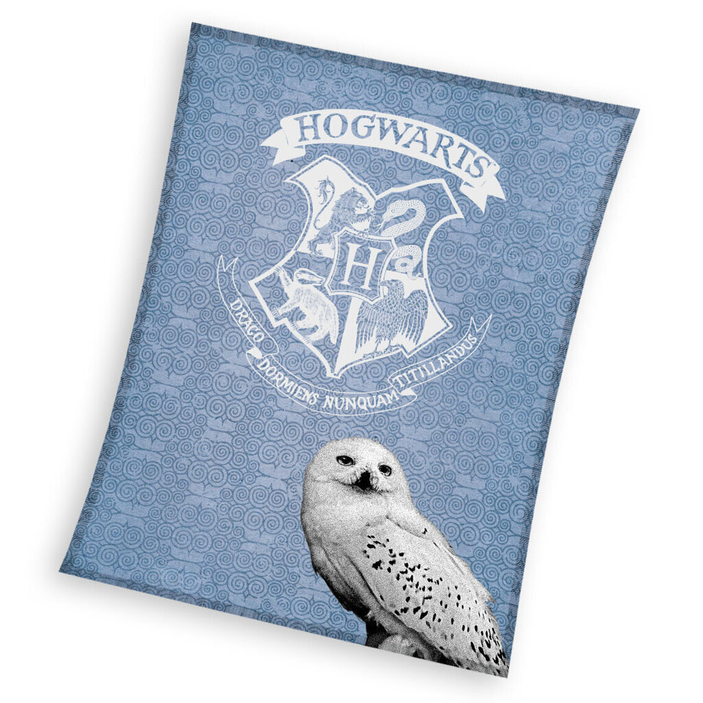 Harry Potteri fliis tekk 130 x 170 hind ja info | Pleedid, voodikatted ja päevatekid | hansapost.ee