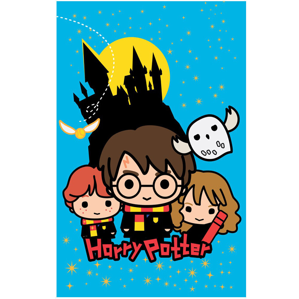 Harry Potteri fliis tekk 100 x 150 hind ja info | Pleedid, voodikatted ja päevatekid | hansapost.ee