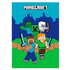 Fliispleed Minecraft hind ja info | Pleedid, voodikatted ja päevatekid | hansapost.ee