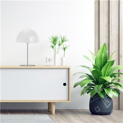 Laualamp valge kapuutsiga Platinet, 42 cm цена и информация | Laualambid | hansapost.ee