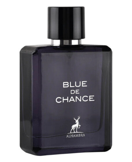 Parfüümvesi Maison Alhambra Blue de Chance EDP meestele, 100 ml hind ja info | Parfüümid meestele | hansapost.ee