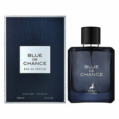 Parfüümvesi Maison Alhambra Blue de Chance EDP meestele, 100 ml hind ja info | Parfüümid meestele | hansapost.ee