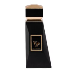 Парфюмированная вода Fragrance World Vie Ciel EDP для мужчин, 80 мл. цена и информация | Мужские духи | hansapost.ee