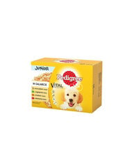 Pedigree Junior 36+12, 100г цена и информация | Консервы для собак | hansapost.ee