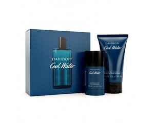 Komplekt meestele Davidoff Cool Water Gift Set цена и информация | Дезодоранты | hansapost.ee