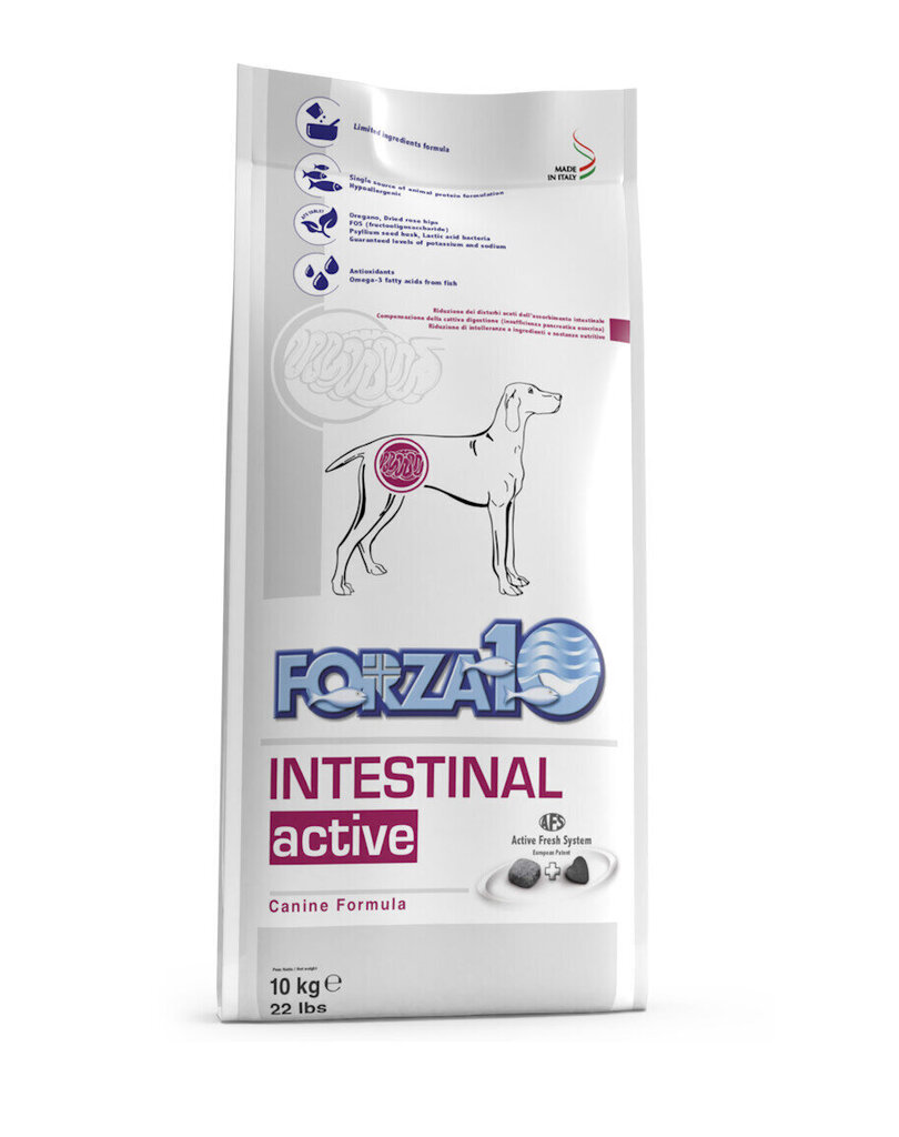 Forza 10 Intestinal Active Nutraceutical seedeprobleemidele, 10 kg hind ja info | Koerte kuivtoit ja krõbinad | hansapost.ee