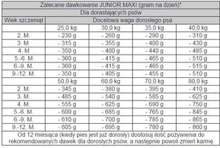 Bosch Tiernahrung Junior Maxi koos linnulihaga, 15 kg hind ja info | Koerte kuivtoit ja krõbinad | hansapost.ee