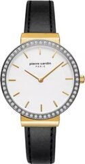 Naiste käekell Pierre Cardin Argentina PC902352F02 price and information | Watches for women | hansapost.ee