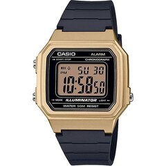 Часы унисекс Casio Collection (Ø 43 mm) цена и информация | Женские часы | hansapost.ee