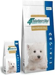 VetExpert 4T Veterinary Diet Dog Dermatosis с лососем, 12kg цена и информация | Сухой корм для собак | hansapost.ee