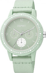 Женские часы Esprit ES1L284L0115 цена и информация | Женские часы | hansapost.ee