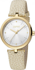 Женские часы Esprit ES1L296L0045 цена и информация | Женские часы | hansapost.ee