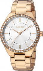 Женские часы Esprit ES1L326M0075 цена и информация | Женские часы | hansapost.ee