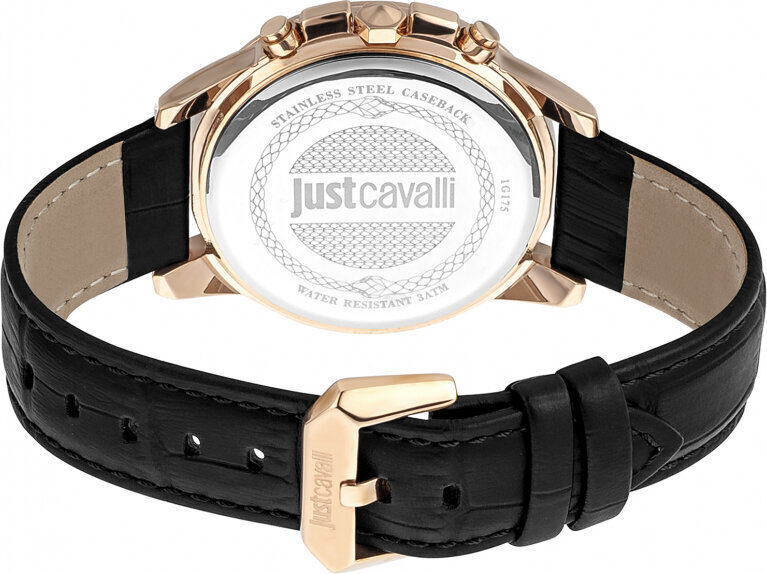 Käekell meestele Just Cavalli JC1G175L0235 цена и информация | Käekellad naistele | hansapost.ee