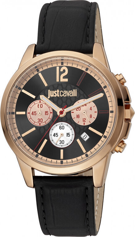 Käekell meestele Just Cavalli JC1G175L0235 цена и информация | Käekellad naistele | hansapost.ee