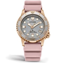 Citizen Eco-Drive EO2023-00A EO2023-00A цена и информация | Женские часы | hansapost.ee