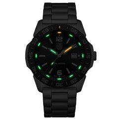 Мужские часы Luminox Pacific Diver XS.3137  цена и информация | Мужские часы | hansapost.ee