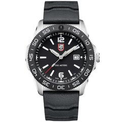 Мужские часы Luminox XS.3121 цена и информация | Мужские часы | hansapost.ee