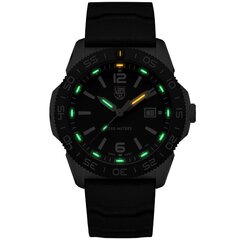 Meeste käekell Luminox Pacific XS.3121 hind ja info | Käekellad meestele | hansapost.ee