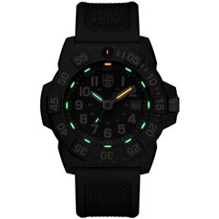 Мужские часы Luminox XS.3501.F цена и информация | Мужские часы | hansapost.ee