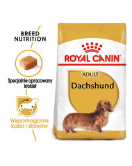 Royal Canin Dachshund täiskasvanud koertele, 2x7,5 kg price and information | Koerte kuivtoit ja krõbinad | hansapost.ee