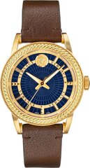 Мужские часы Versace VEPO00220 цена и информация | Мужские часы | hansapost.ee