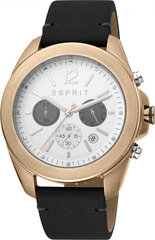 Мужские часы Esprit ES1G159L0035 цена и информация | Мужские часы | hansapost.ee