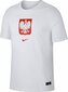 Meeste T-särk Nike Poland Tee Evergreen Crest, valge цена и информация | T-särgid meestele | hansapost.ee